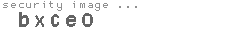 security image