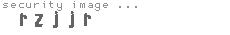 security image