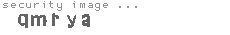 security image