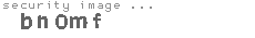 security image