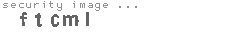 security image