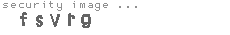 security image