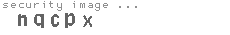 security image