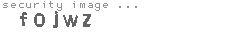 security image