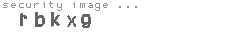security image