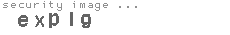 security image