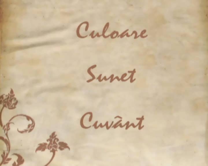 Culoare sunet si cuvant 21 august