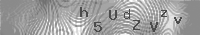 This image contains a scrambled text, it is using a combination of colors, font size, background, angle in order to disallow computer to automate reading. You will have to reproduce it to post on my homepage